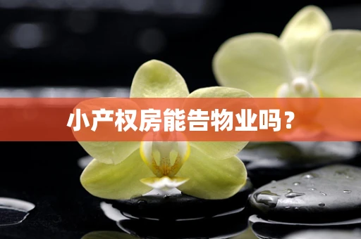小产权房能告物业吗？