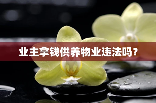 业主拿钱供养物业违法吗？