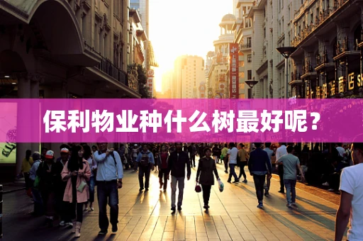 保利物业种什么树最好呢？