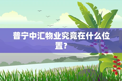 普宁中汇物业究竟在什么位置？