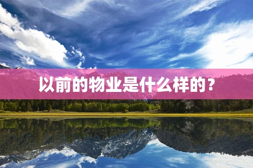 以前的物业是什么样的？