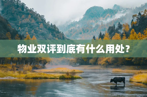 物业双评到底有什么用处？