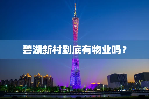 碧湖新村到底有物业吗？