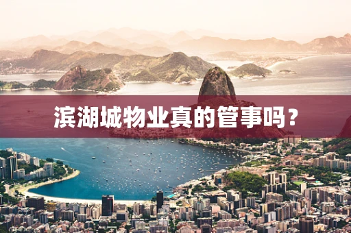 滨湖城物业真的管事吗？