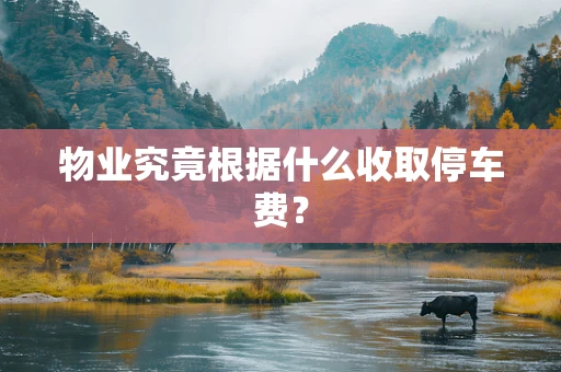 物业究竟根据什么收取停车费？