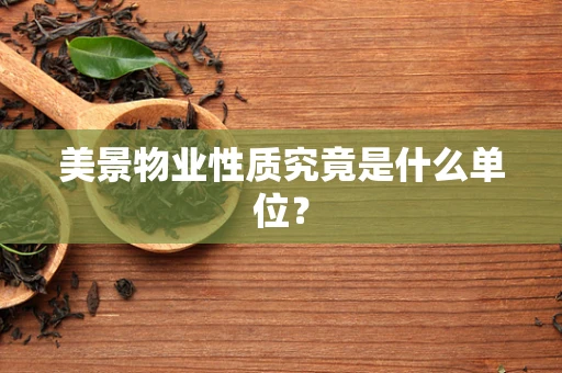 美景物业性质究竟是什么单位？
