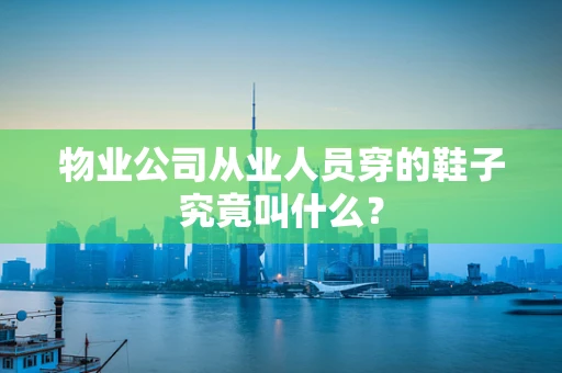 物业公司从业人员穿的鞋子究竟叫什么？