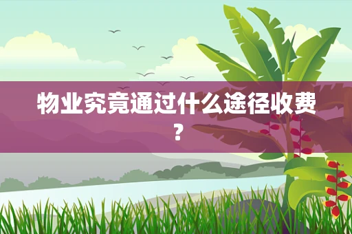 物业究竟通过什么途径收费？