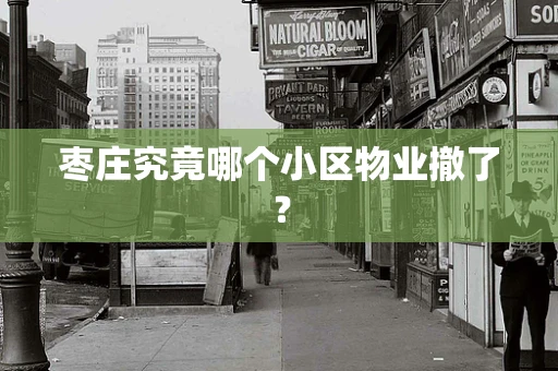 枣庄究竟哪个小区物业撤了？