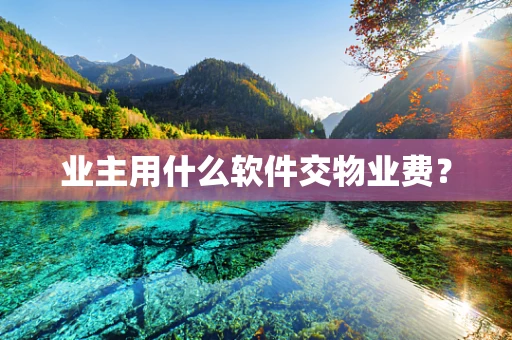 业主用什么软件交物业费？