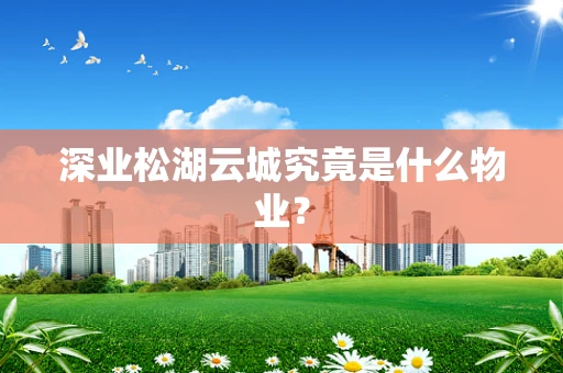 深业松湖云城究竟是什么物业？