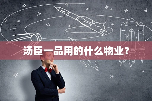 汤臣一品用的什么物业？