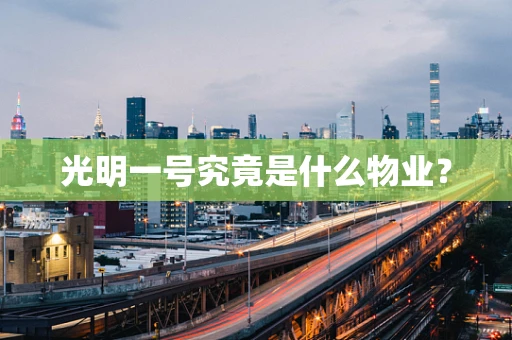 光明一号究竟是什么物业？