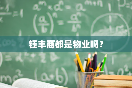 钰丰商都是物业吗？