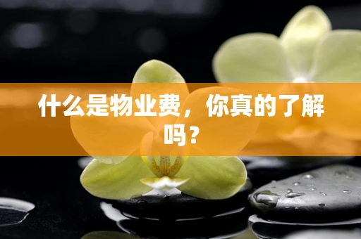 什么是物业费，你真的了解吗？