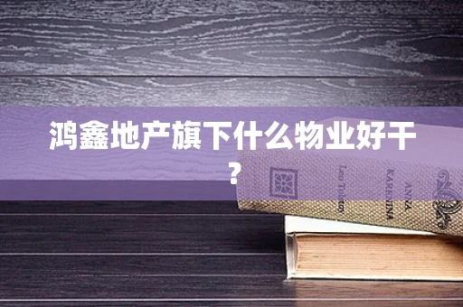 鸿鑫地产旗下什么物业好干？