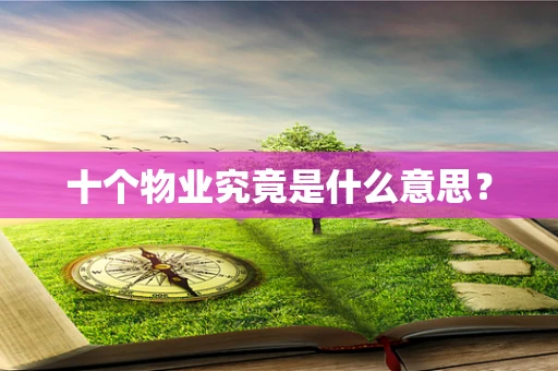 十个物业究竟是什么意思？