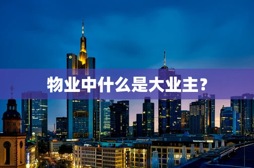 物业中什么是大业主？