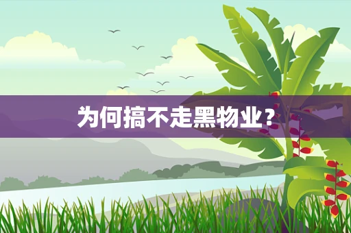 为何搞不走黑物业？