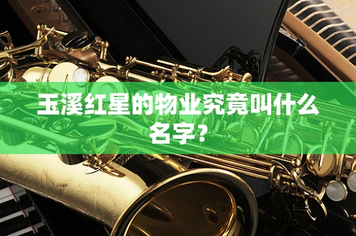 玉溪红星的物业究竟叫什么名字？