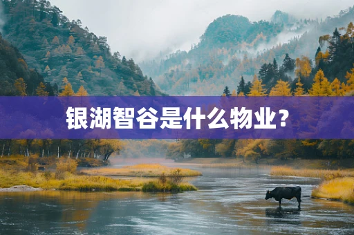 银湖智谷是什么物业？