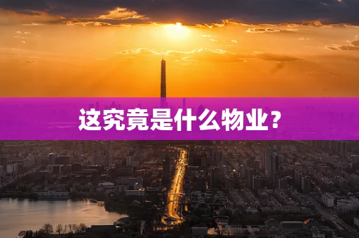 这究竟是什么物业？