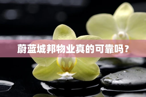 蔚蓝城邦物业真的可靠吗？