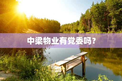 中梁物业有党委吗？