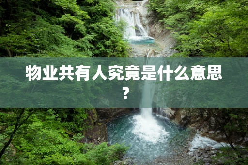 物业共有人究竟是什么意思？