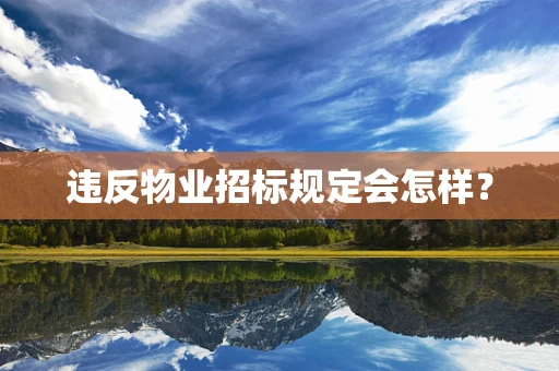 违反物业招标规定会怎样？