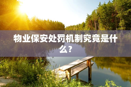 物业保安处罚机制究竟是什么？