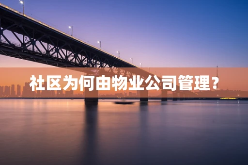 社区为何由物业公司管理？