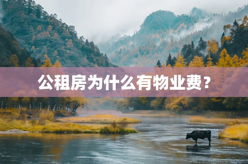 公租房为什么有物业费？