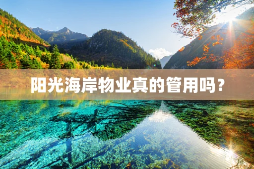 阳光海岸物业真的管用吗？