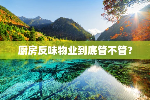 厨房反味物业到底管不管？