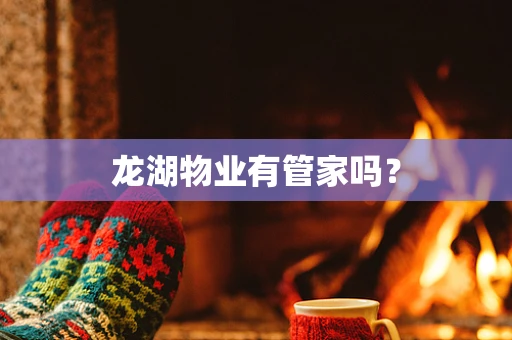 龙湖物业有管家吗？