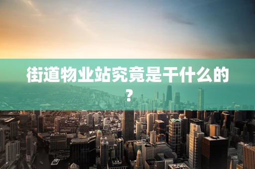 街道物业站究竟是干什么的？