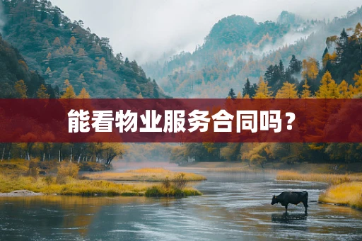 能看物业服务合同吗？