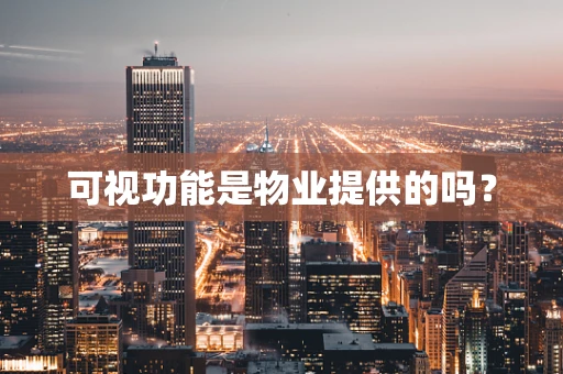 可视功能是物业提供的吗？