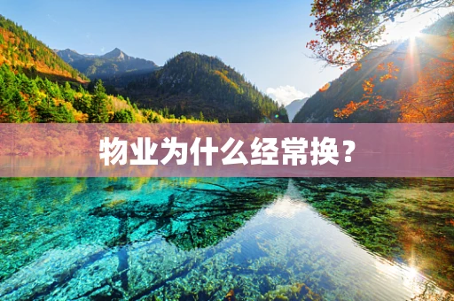 物业为什么经常换？