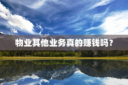 物业其他业务真的赚钱吗？