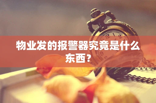 物业发的报警器究竟是什么东西？