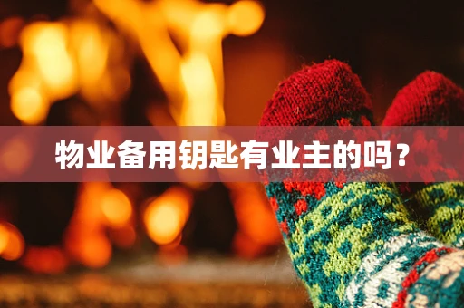 物业备用钥匙有业主的吗？