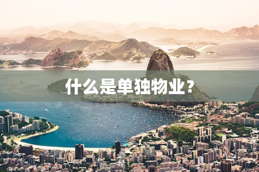 什么是单独物业？