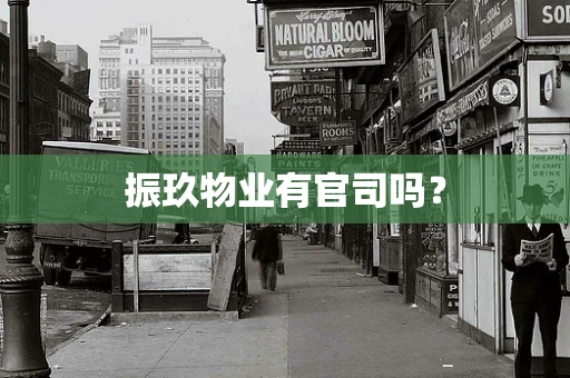 振玖物业有官司吗？