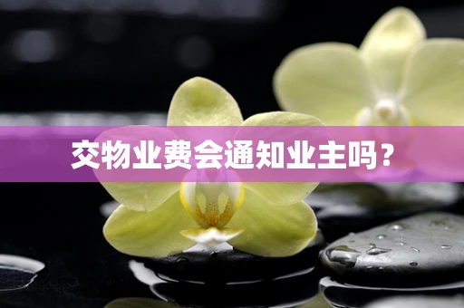 交物业费会通知业主吗？