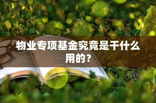 物业专项基金究竟是干什么用的？