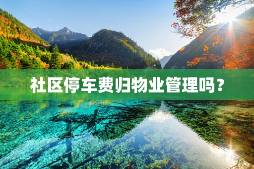 社区停车费归物业管理吗？
