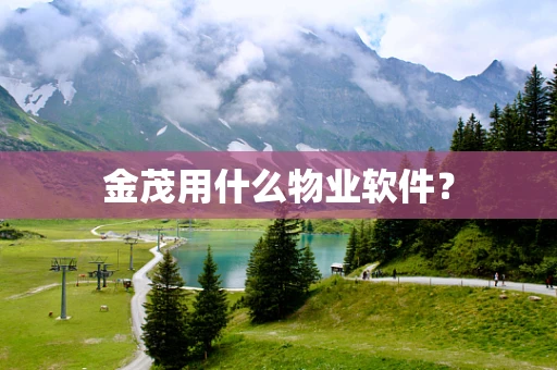 金茂用什么物业软件？