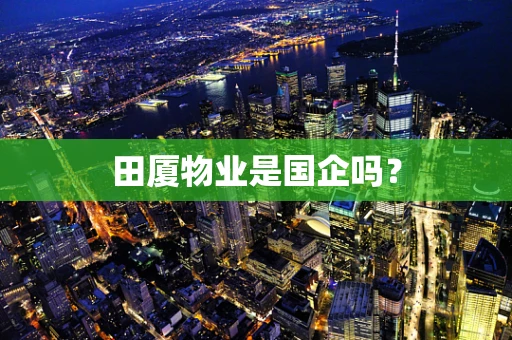 田厦物业是国企吗？
